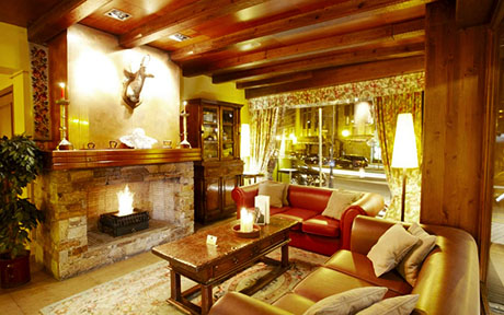Hotel Ski Plaza 5
