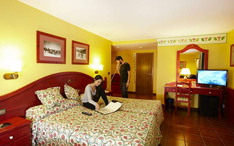 Hotel Ski Plaza 5