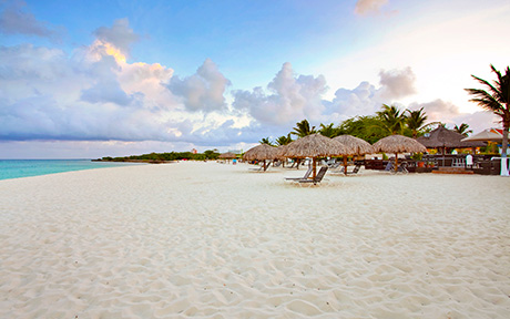 Amsterdam Manor Beach Resort 5*. Аруба