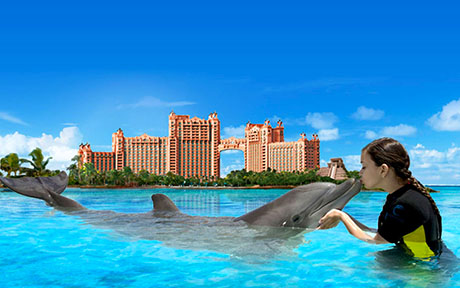 The Cove Atlantis, Autograph Collection 5*. Багамские острова
