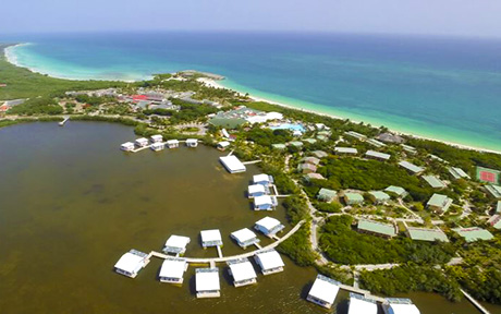 Melia Cayo Coco 5*. Куба