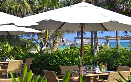 Melia Cayo Coco 5*. Куба