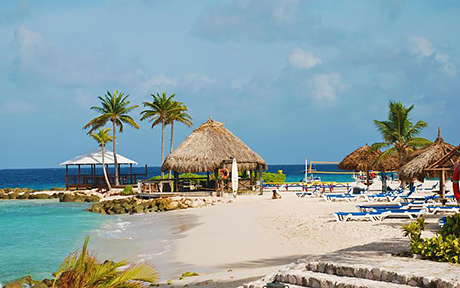 Curacao Marriott Beach Resort & Emerald Casino 5*. Кюрасао