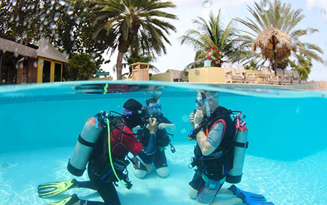 Lions Dive & Beach Resort Curacao 5*. Кюрасао
