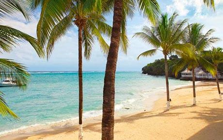 Couples Tower Isle 4*. Ямайка