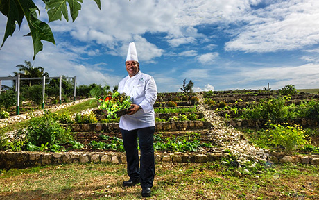 Round Hill Hotel & Villas 5*. Ямайка