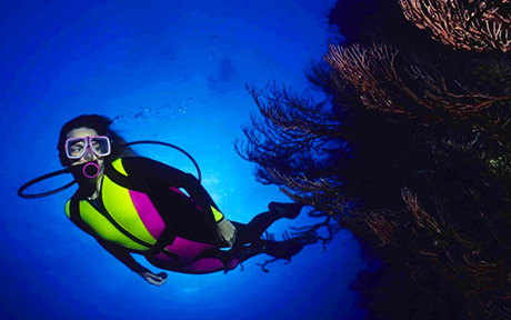 W Retreat & Spa Vieques 5*. Пуэрто Рико
