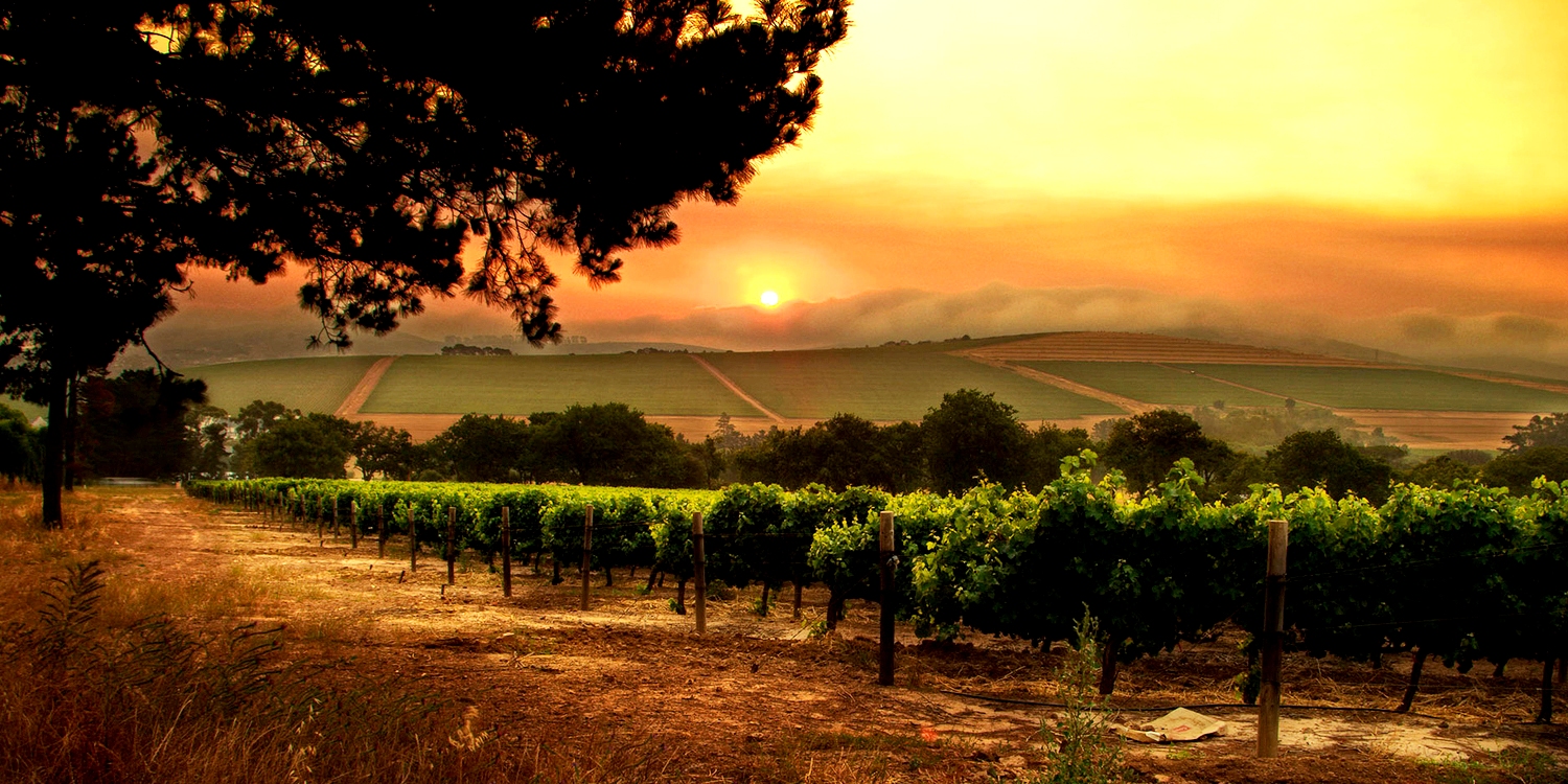 WILDFIRE0915 GettyImages 896260601500