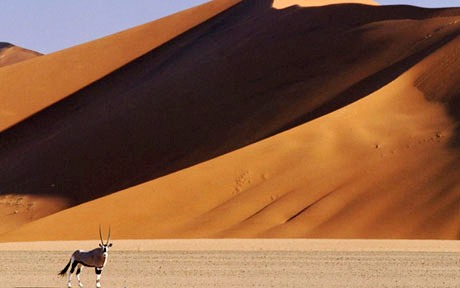 namib470