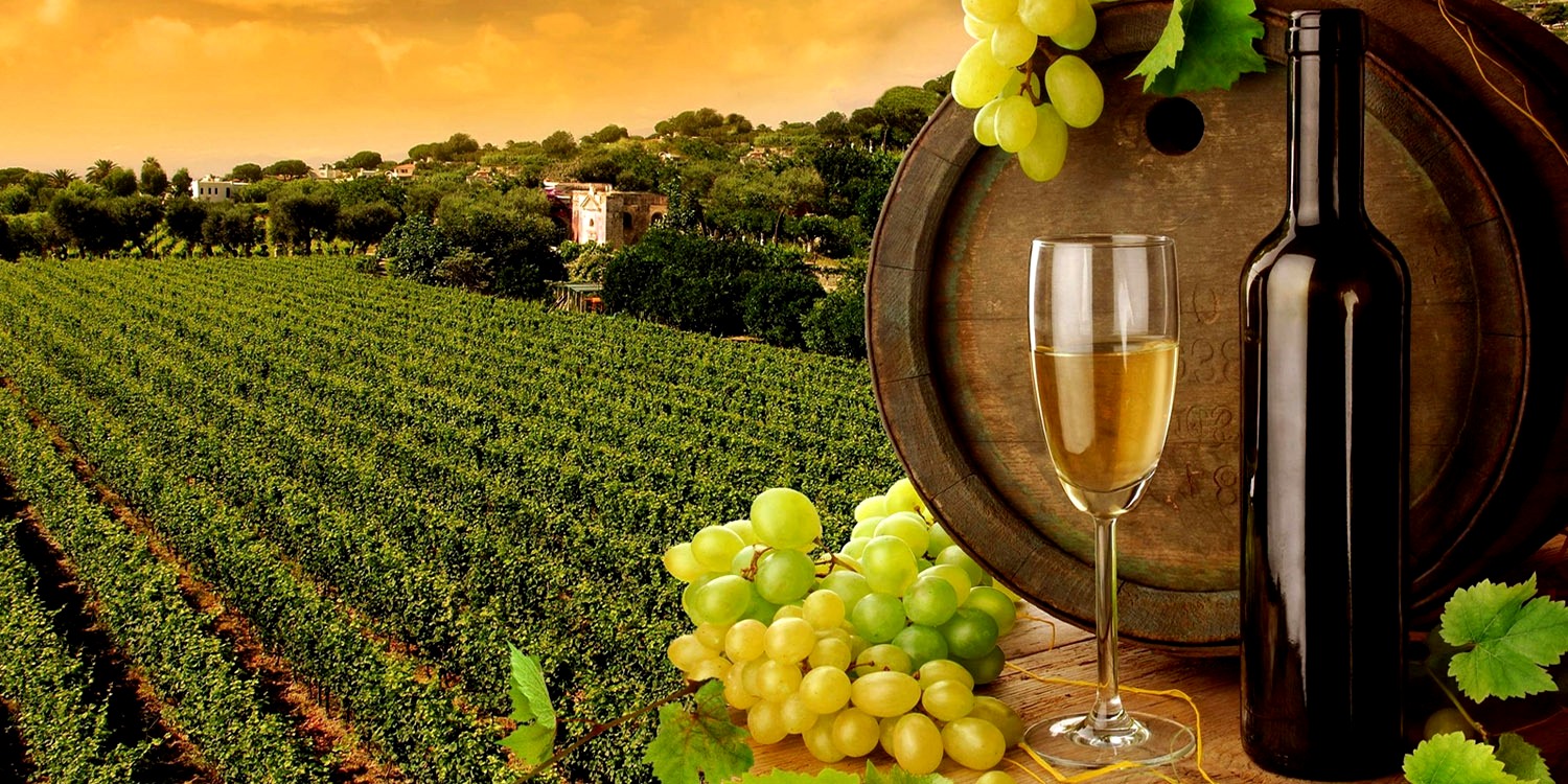 vinesa