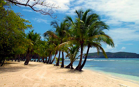Firefly Hotel Mustique 5*. Гренадины