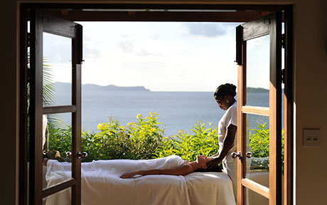 Palm Island Resort & Spa 5*. Гренадины