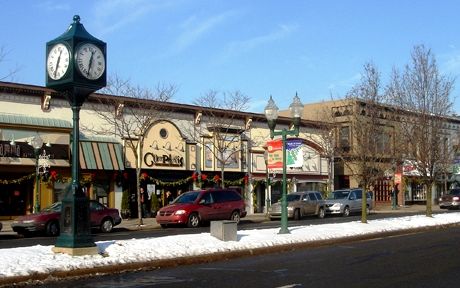 DowntownPlymouthMichigan