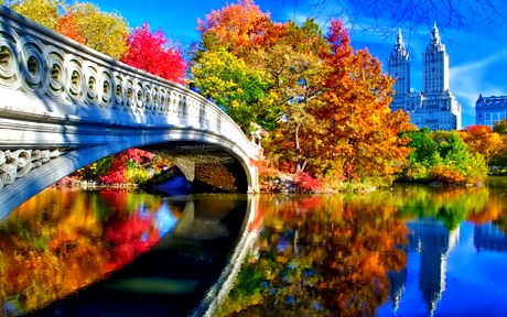nyu york ssha centralnyy park