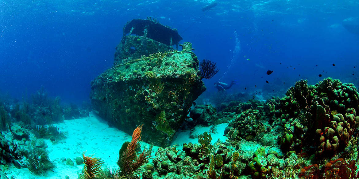 Venesuela kurort diving