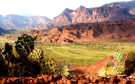 1369916062 2 1305550649 204125571 1 Fotos de Ipuna Turismo Cafayate Salta