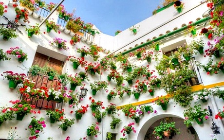 patios de cordoba 6