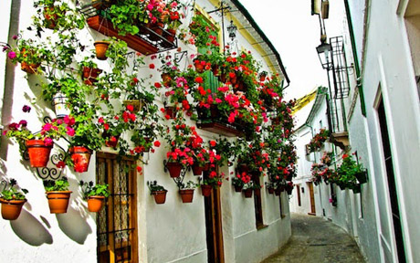 priego de cordoba