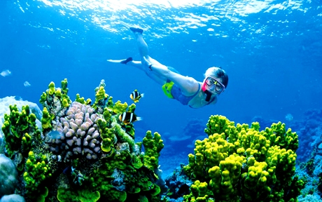 Great Barriere Reef2