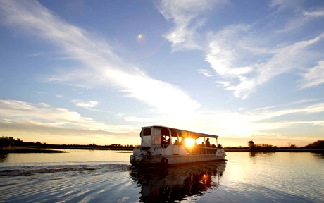 Yellow Water Cruise 0