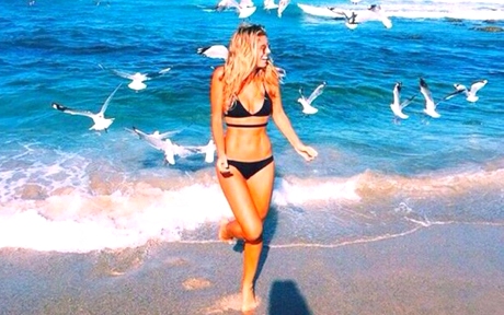 beach bikini birds black Favim.com 3996560