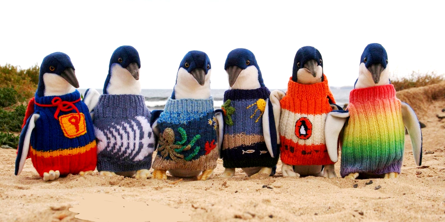 penguin foundation phillip island150012