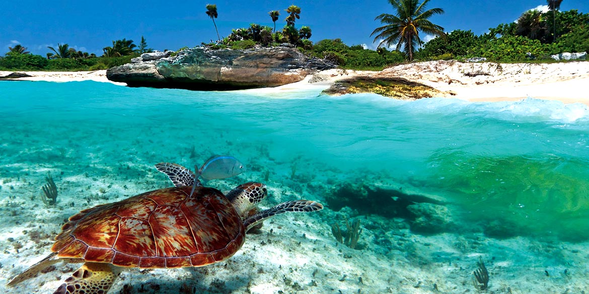 Antigua i Barbuda kurort dikenson