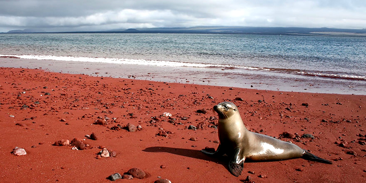 amazing unusual beaches 10 1