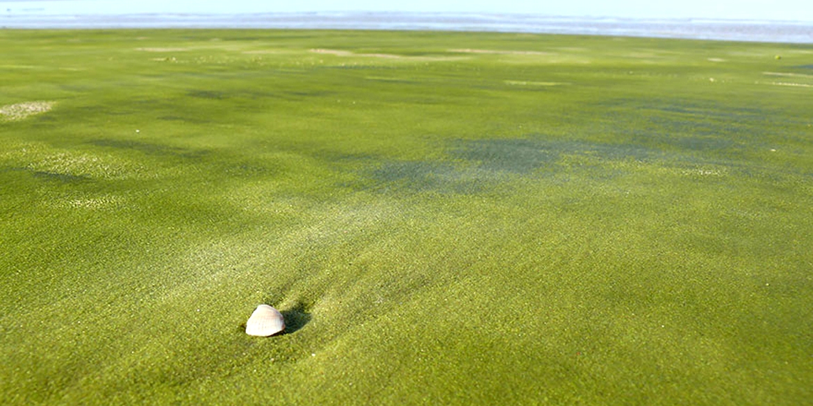 amazing unusual beaches 2 3