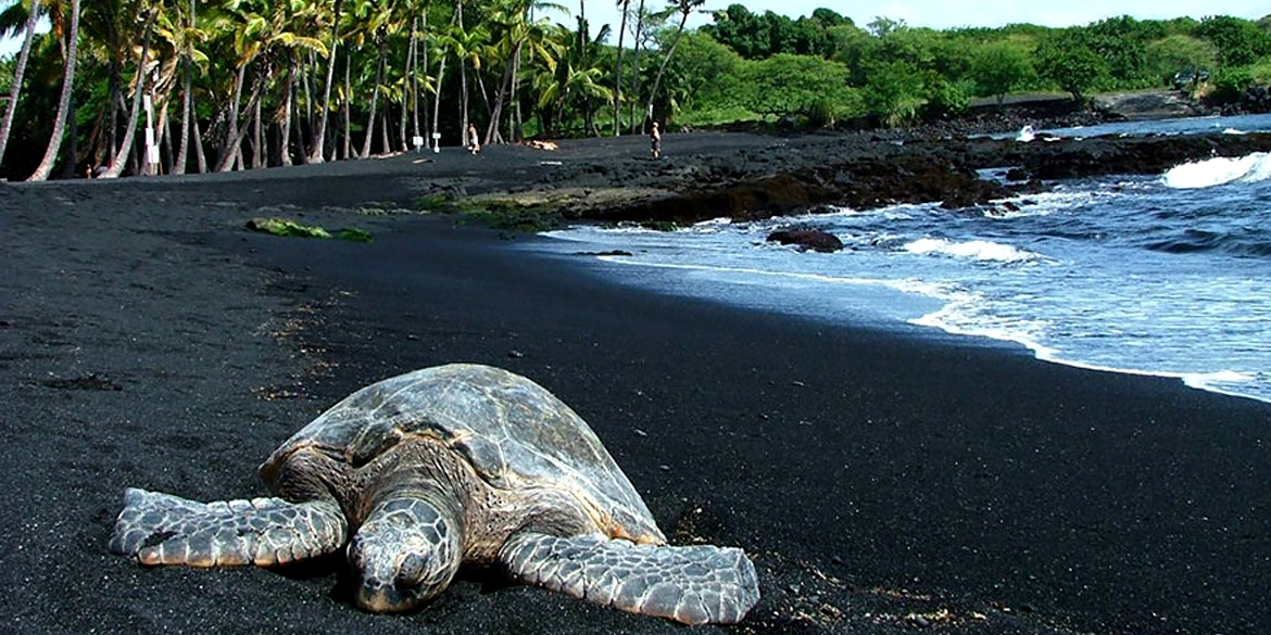 amazing unusual beaches 6 2