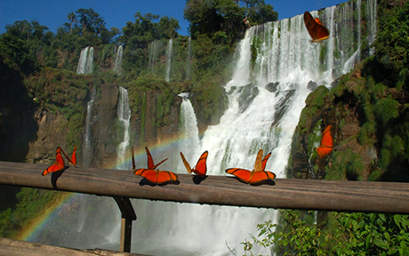 Romantic Brazil rio iguazu salvador Романтическая Бразилия