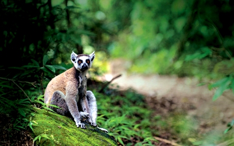4 Mayotte