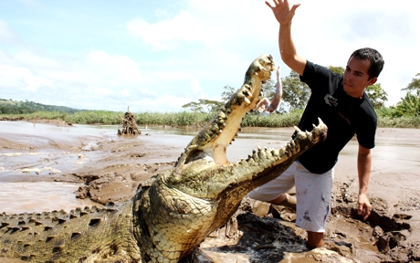 Croco pixanews 5