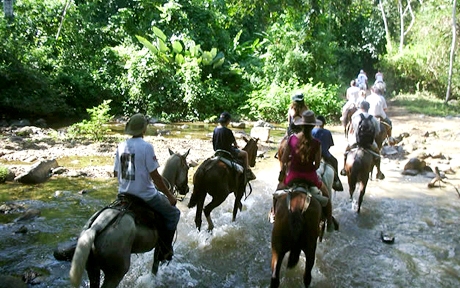 cabalgata catarata fortuna