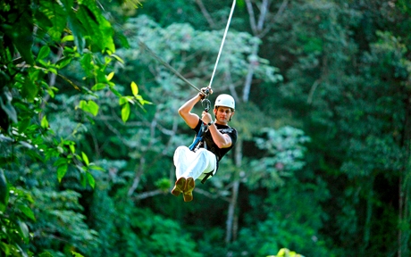 canopy7