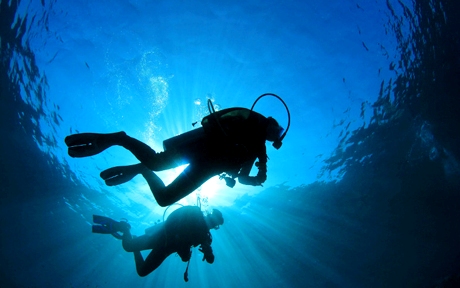 divers in costa rica