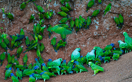 Boutique Travel with Galapagos Hotel