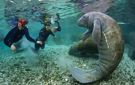 Boutique Travel with Galapagos Hotel