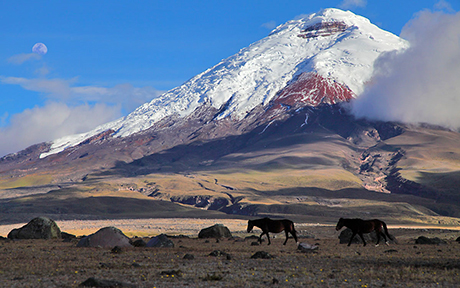 Boutique Travel with Galapagos Hotel