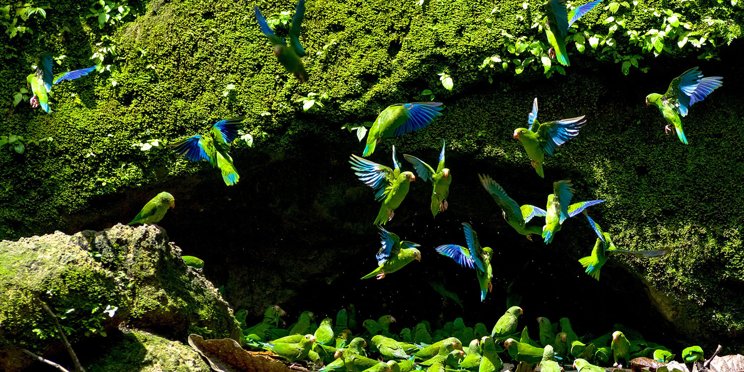 Nature Travel land