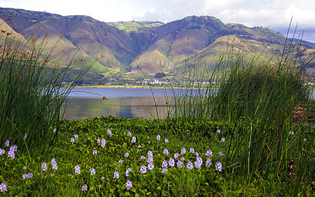 Nature Travel land