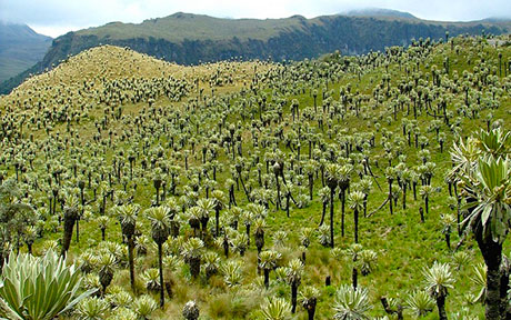 Nature Travel land