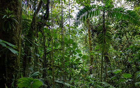 active rest in ecuador 4
