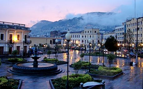 priroda plasa