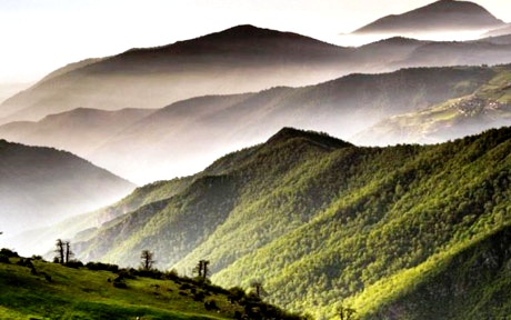 горного леса Абр