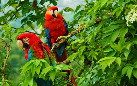 Colombia Tayrona National Park1 460x288