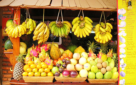 Tropical Fruitsof Colombia460x288