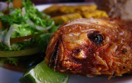 food 460x288