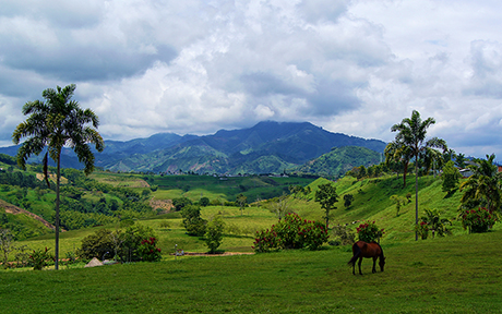 mountains pereira460x288