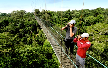sacha lodge amazon